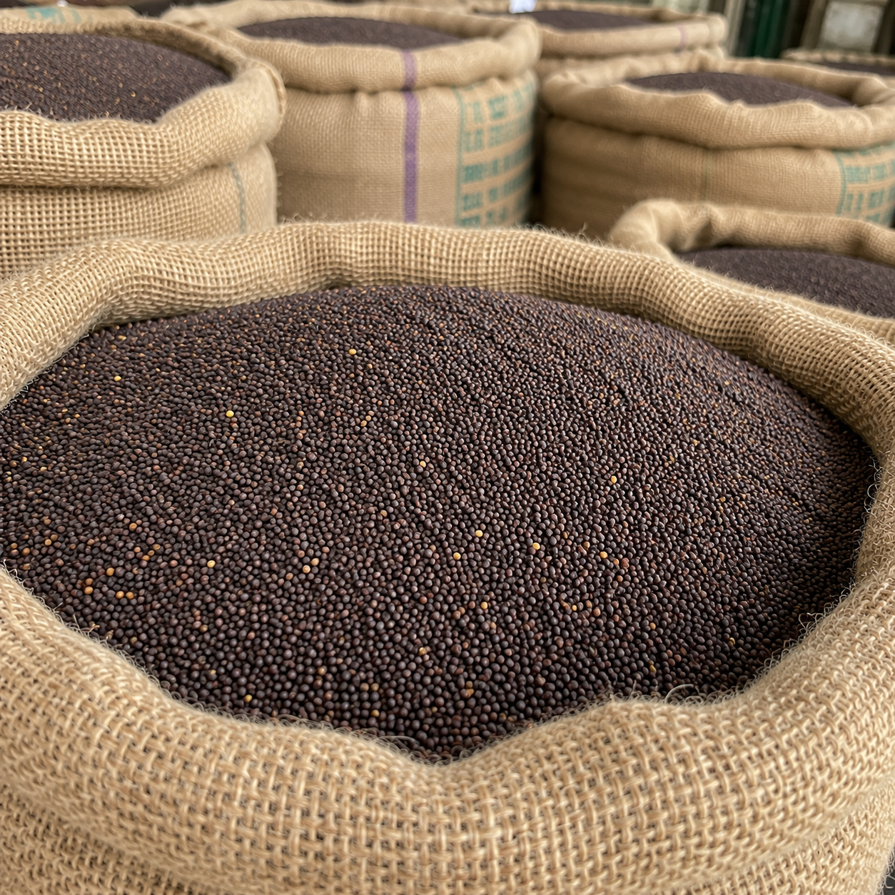 Cumin Seeds